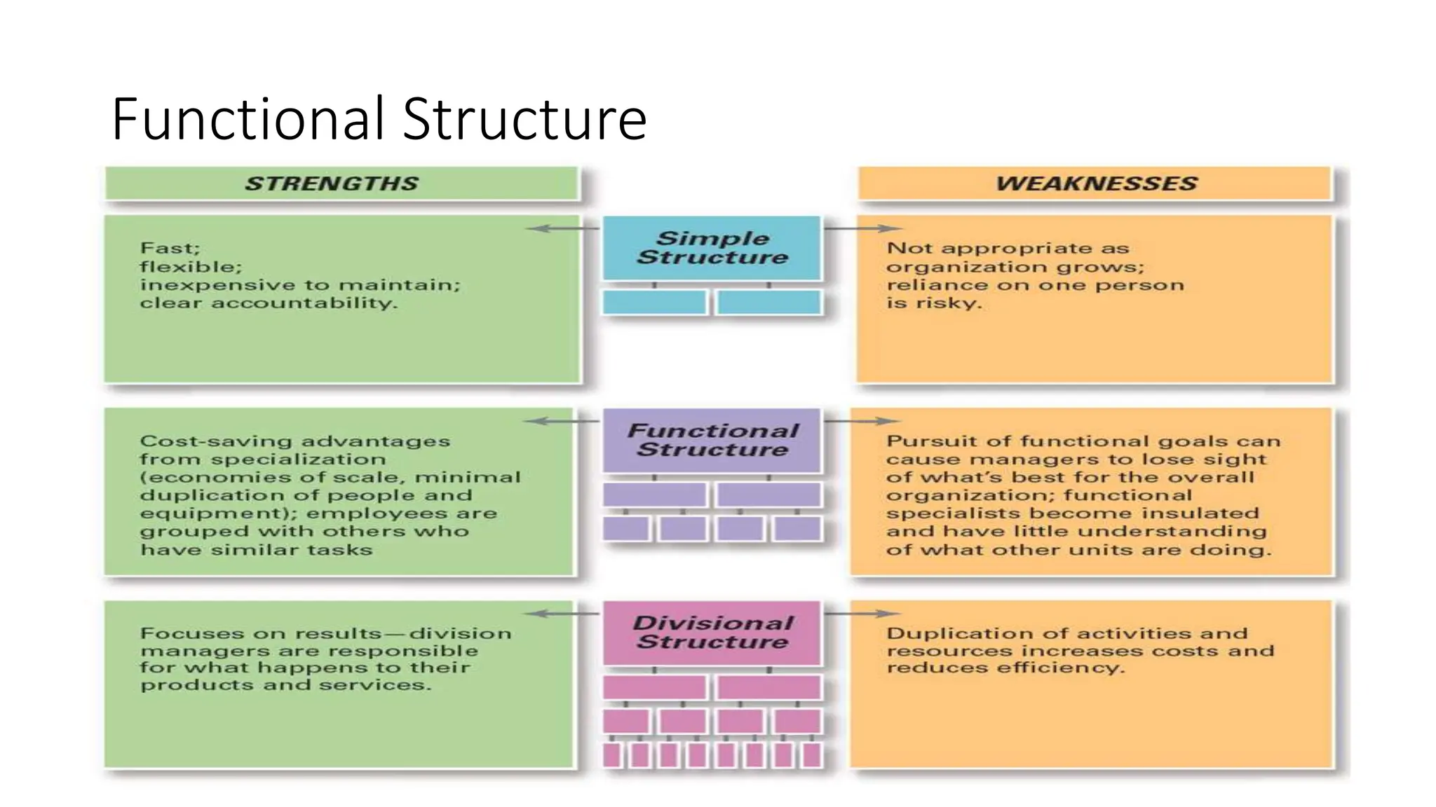 Functional Structure
 