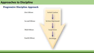 Discipline | PDF