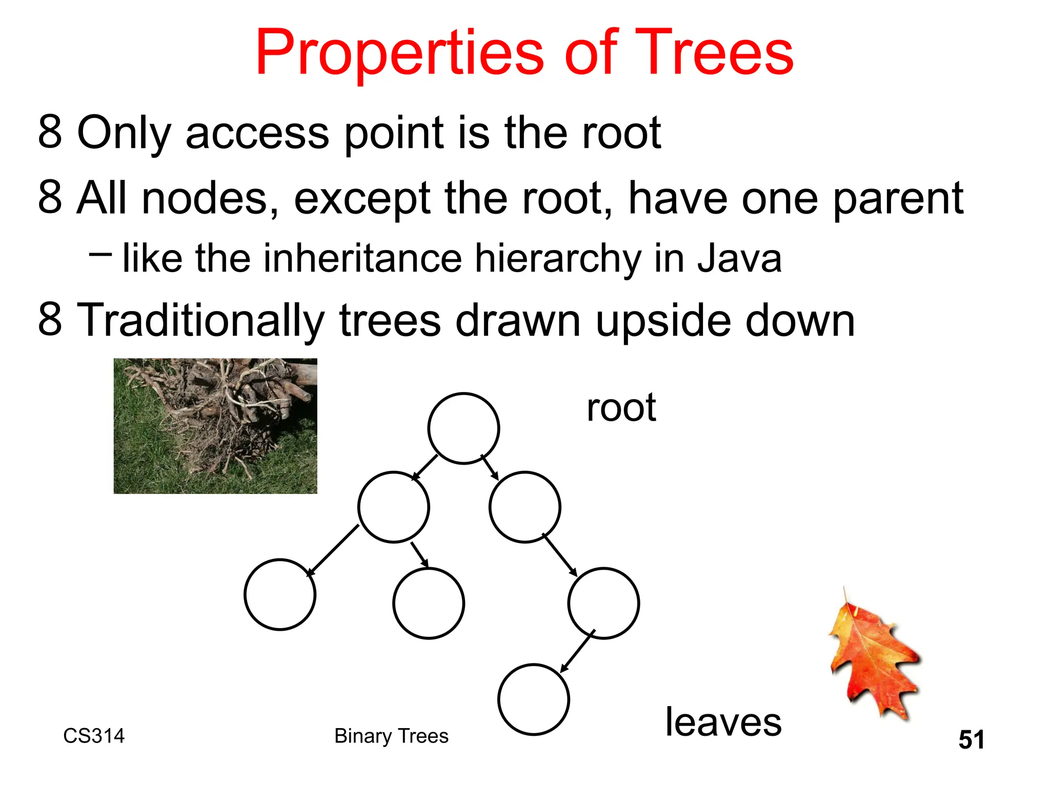 51
Properties of Trees
8 Only access point is the root
8 All nodes, except the root, have one parent
– like the inheritance hierarchy in Java
8 Traditionally trees drawn upside down
root
leaves
Binary Trees
CS314
 