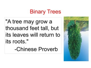 Binary Trees
"A tree may grow a
thousand feet tall, but
its leaves will return to
its roots."
-Chinese Proverb
 