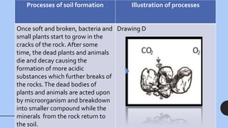 Processes of soil formation Illustration of processes
Once soft and broken, bacteria and
small plants start to grow in the
cracks of the rock. After some
time, the dead plants and animals
die and decay causing the
formation of more acidic
substances which further breaks of
the rocks.The dead bodies of
plants and animals are acted upon
by microorganism and breakdown
into smaller compound while the
minerals from the rock return to
the soil.
Drawing D
 