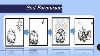 Soil Formation
 
