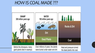 HOW IS COAL MADE ???
 