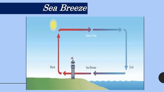 Sea Breeze
 