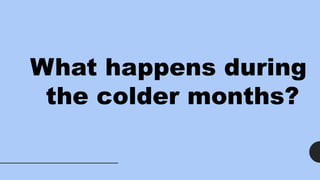 What happens during
the colder months?
 