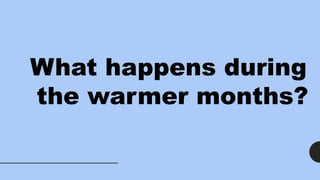 What happens during
the warmer months?
 