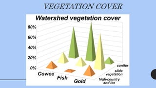 VEGETATION COVER
 