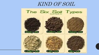 KIND OF SOIL
 