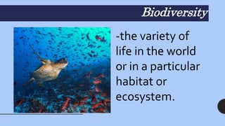 Biodiversity
-the variety of
life in the world
or in a particular
habitat or
ecosystem.
 