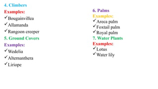 4. Climbers
Examples:
Bougainvillea
Allamanda
Rangoon creeper
5. Ground Covers
Examples:
Wedelia
Alternanthera
Liriope
6. Palms
Examples:
Areca palm
Foxtail palm
Royal palm
7. Water Plants
Examples:
Lotus
Water lily
 
