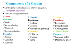 Components of a Garden
• Garden components are divided into two categories.
A. Softscape Components
• These are living components.
1. Trees
Functions:
Shade
Avenue planting
Windbreak
Specimen planting
Examples:
Ashoka
Gulmohar
Jacaranda
2. Shrubs
Functions:
Hedges
Borders
Foundation planting
Examples:
Hibiscus
Duranta
Ixora
3. Lawn
Functions:
Recreation
Beautification
Cooling effect
4. Flower Beds
Purpose:
Seasonal color
Decorative effect
 