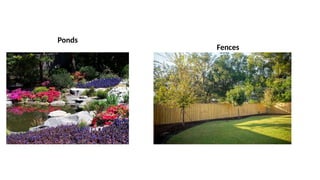 Ponds
Fences
 