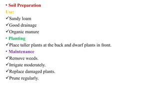 • Soil Preparation
Use:
Sandy loam
Good drainage
Organic manure
• Planting
Place taller plants at the back and dwarf plants in front.
• Maintenance
Remove weeds.
Irrigate moderately.
Replace damaged plants.
Prune regularly.
 