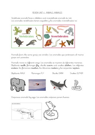 REVIEW UNIT 4. ANIMALS. ANIMALES.
Vertebrate animals have a skeleton and invertebrate animals do not.
Los animales vertebrados tienen esqueleto y los animales invertebrados no.
Animals from the same group are similar. Los animales que pertenecen al mismo
grupo son parecidos.
Animals move in different ways. Los animales se mueven de diferentes maneras.
Elephants walk, flamingos fly, sharks swim and snakes slither. Los elefantes
andan, los flamencos vuelan, los tiburones nadan y las serpientes reptan.
Elephants WALK Flamingos FLY Sharks SWIM Snakes SLITHER
	
  
Oviparous animals lay eggs. Los animales ovíparos ponen huevos.
 