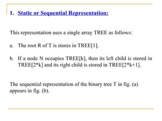Unit 4 tree | PPT