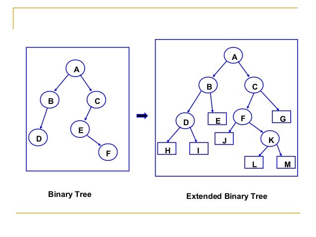 Unit 4 tree