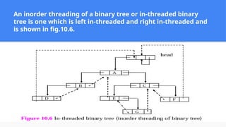 Tree structure and its definitions with an example | PPTX