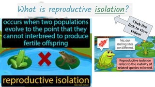 What is reproductive isolation?
 