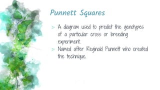 Punnett Squares
⪢ A diagram used to predict the genotypes
of a particular cross or breeding
experiment.
⪢ Named after Reginald Punnett who created
the technique.
 
