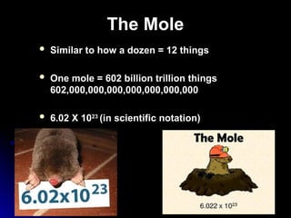 Understanding The Mole and Stoichiometry: The Math of Chemistry | PPT