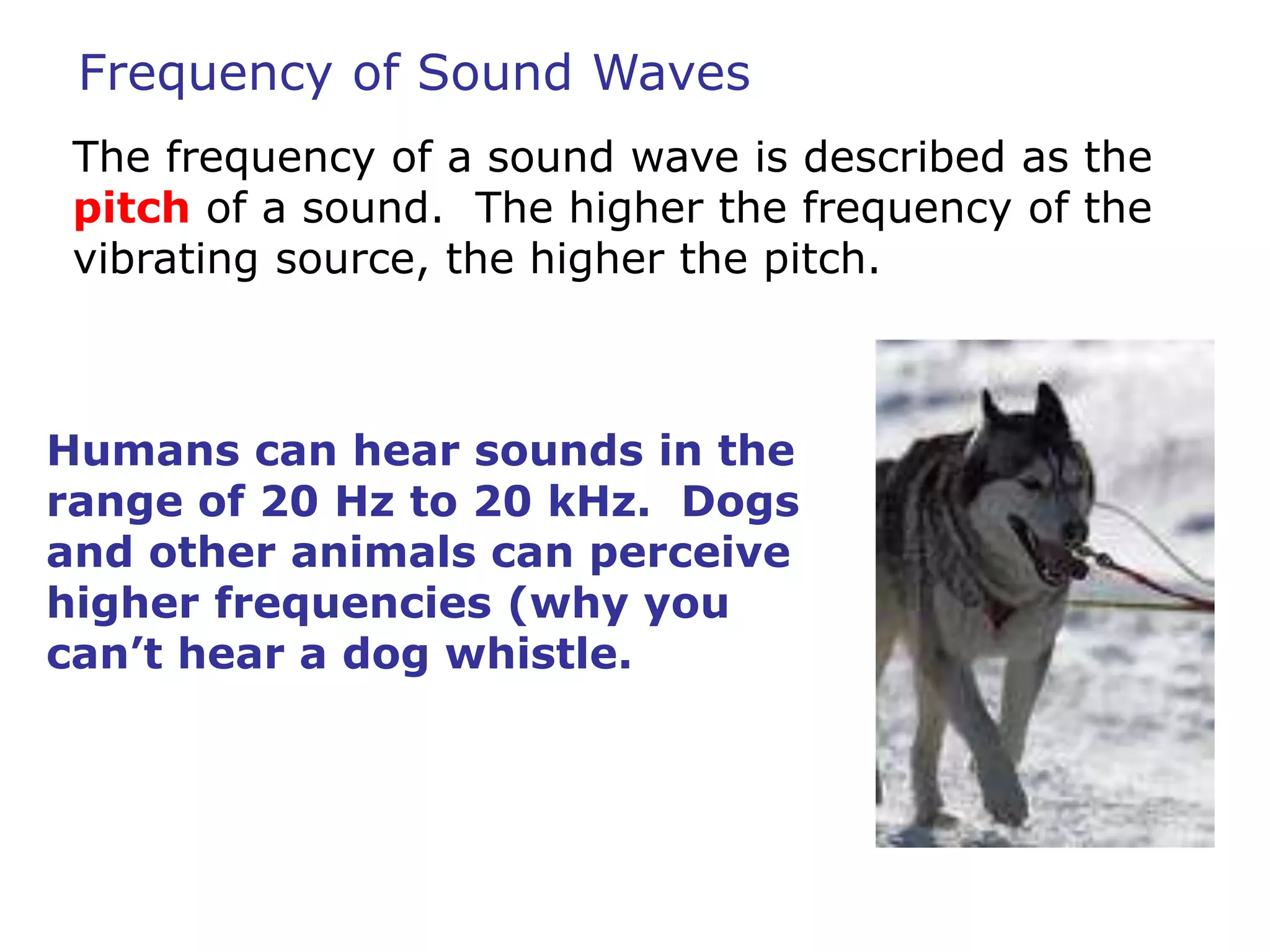 Frequency of Sound Waves 
The frequency of a sound wave is described as the 
pitch of a sound. The higher the frequency of the 
vibrating source, the higher the pitch. 
Humans can hear sounds in the 
range of 20 Hz to 20 kHz. Dogs 
and other animals can perceive 
higher frequencies (why you 
can’t hear a dog whistle. 
 