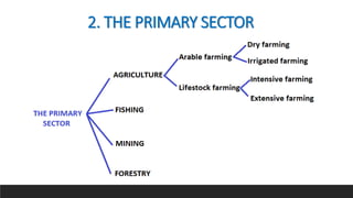 ◦
2. THE PRIMARY SECTOR
 