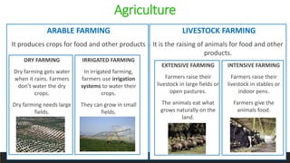 Agriculture
ARABLE FARMING
It produces crops for food and other products
LIVESTOCK FARMING
It is the raising of animals for food and other
products.
DRY FARMING
Dry farming gets water
when it rains. Farmers
don’t water the dry
crops.
Dry farming needs large
fields.
IRRIGATED FARMING
In irrigated farming,
farmers use irrigation
systems to water their
crops.
They can grow in small
fields.
EXTENSIVE FARMING
Farmers raise their
livestock in large fields or
open pastures.
The animals eat what
grows naturally on the
land.
INTENSIVE FARMING
Farmers raise their
livestock in stables or
indoor pens.
Farmers give the
animals food.
 
