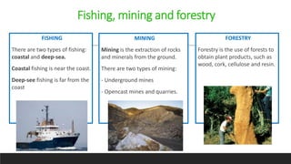FISHING
There are two types of fishing:
coastal and deep-sea.
Coastal fishing is near the coast.
Deep-see fishing is far from the
coast
Fishing, mining and forestry
MINING
Mining is the extraction of rocks
and minerals from the ground.
There are two types of mining:
- Underground mines
- Opencast mines and quarries.
FORESTRY
Forestry is the use of forests to
obtain plant products, such as
wood, cork, cellulose and resin.
 