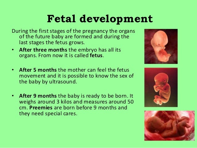 unit 18 babies development Infant development: how your baby grows and matures infancy introduction infancy physical development infancy physical development: infancy cognitive development. unit 18 babies development Infant development: how your baby grows and matures infancy introduction infancy physical development infancy physical development: infancy cognitive development.