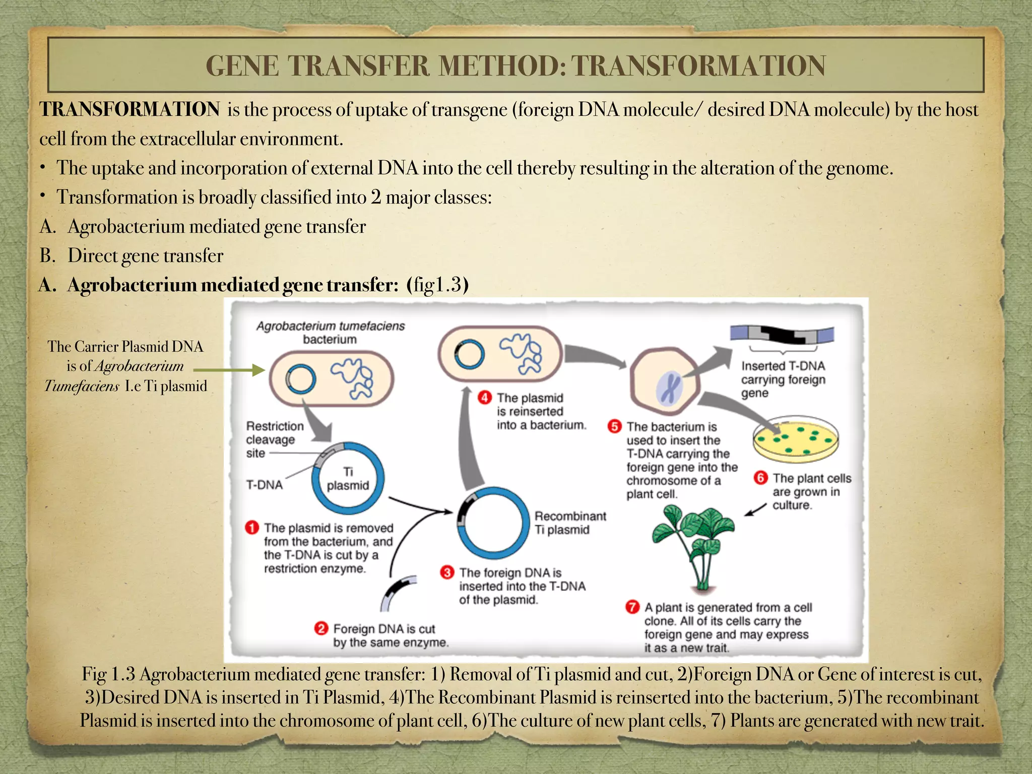UNIT 4 Microbial genetics:Transformation,Transduction,Conjugation ...