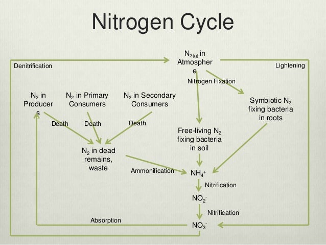 AQA Unit 4 A2 Biology