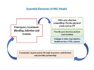 Essential Elements of PAC Model
 