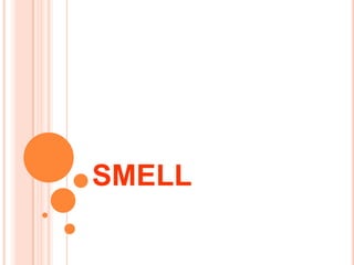 SMELL
 