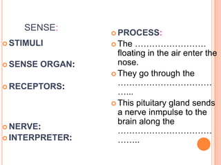 SENSE:
 STIMULI
 SENSE ORGAN:
 RECEPTORS:
 NERVE:
 INTERPRETER:
 PROCESS:
 The …………………….
floating in the air enter the
nose.
 They go through the
……………………………
…...
 This pituitary gland sends
a nerve inmpulse to the
brain along the
……………………………
……..
 