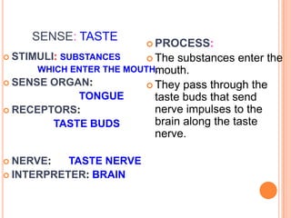 SENSE: TASTE
 STIMULI: SUBSTANCES
WHICH ENTER THE MOUTH.
 SENSE ORGAN:
TONGUE
 RECEPTORS:
TASTE BUDS
 NERVE: TASTE NERVE
 INTERPRETER: BRAIN
 PROCESS:
 The substances enter the
mouth.
 They pass through the
taste buds that send
nerve impulses to the
brain along the taste
nerve.
 