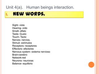 1. New words.
Unit 4(a). Human beings interaction.
Sight- vista
Hearing- oído
Smell- olfato
Taste- Gusto
Touch- Tacto
Nerves- nervios.
Stimuli- estímulos
Receptors- receptores
Effectors- efectores
Nervous system- sistema nervioso
Brain-cerebro
Network-red
Neurons- neuronas
Balance- equilibrio
 