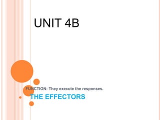 THE EFFECTORS
FUNCTION: They execute the responses.
UNIT 4B
 