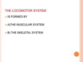THE LOCOMOTOR SYSTEM
 IS FORMED BY
 A)THE MUSCULAR SYSTEM
 B) THE SKELETAL SYSTEM
 