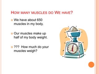 HOW MANY MUSCLES DO WE HAVE?
 We have about 650
muscles in my body.
 Our muscles make up
half of my body weight.
 ??? How much do your
muscles weigh?
 