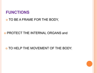 FUNCTIONS
 TO BE A FRAME FOR THE BODY,
 PROTECT THE INTERNAL ORGANS and
 TO HELP THE MOVEMENT OF THE BODY.
 
