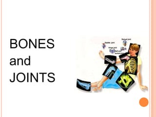 THE SKELETON IS MADE UP OF
BONES
and
JOINTS
 