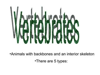 Vertebrates <ul><li>Animals with backbones and an interior skeleton </li></ul><ul><li>There are 5 types: </li></ul>