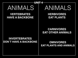 ANIMALS
INVERTEBRATES!
DON´T HAVE A BACKBONE
VERTEBRATES!
HAVE A BACKBONE
HERBIVORES!
EAT PLANTS
CARNIVORES!
EAT OTHER ANIMALS
UNIT 4
OMNIVORES!
EAT PLANTS AND ANIMALS
ANIMALS
 