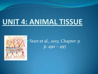 UNIT 4: ANIMAL TISSUE
 Starr et al., 2013. Chapter 31
p. 490 – 497
 