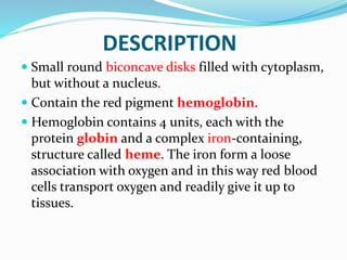 DESCRIPTION
 Small round biconcave disks filled with cytoplasm,
but without a nucleus.
 Contain the red pigment hemoglobin.
 Hemoglobin contains 4 units, each with the
protein globin and a complex iron-containing,
structure called heme. The iron form a loose
association with oxygen and in this way red blood
cells transport oxygen and readily give it up to
tissues.
 