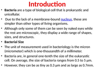 Rest Bacteria Arrangements of bacteria topic clinical microbiology | PPTX