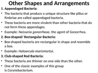Arrangements of bacteria topic clinical microbiology | PPTX