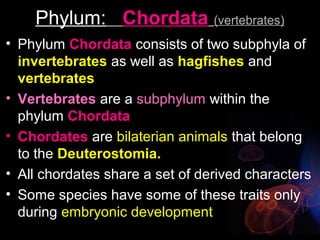 Unit 4 biodiversity of animals invertebrates | PPT
