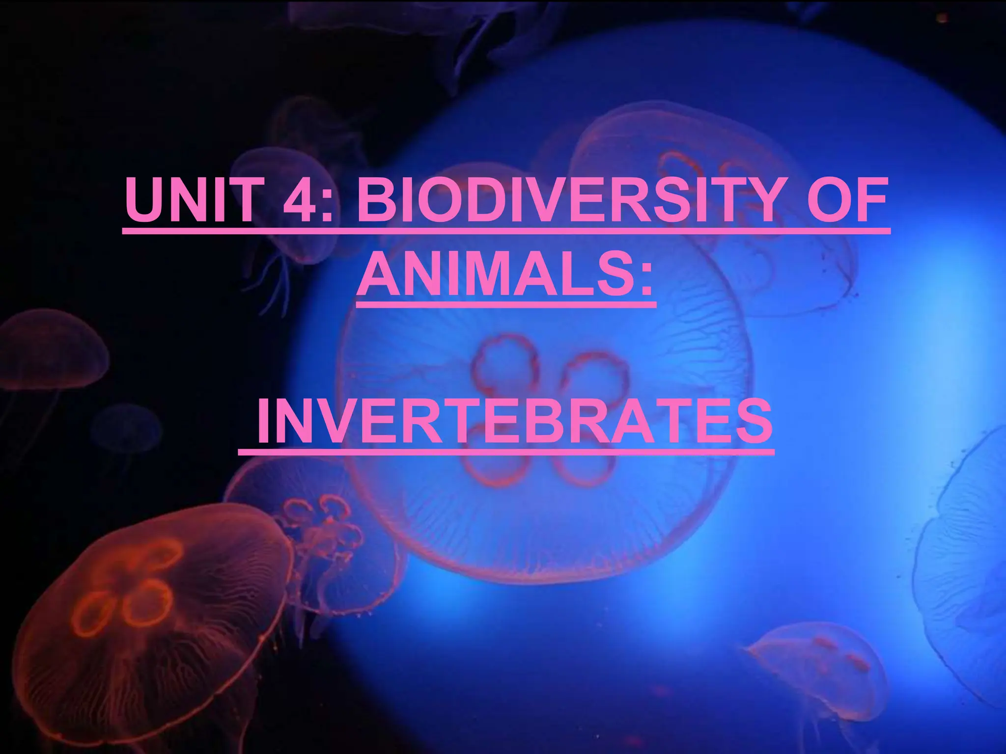 UNIT 4: BIODIVERSITY OF
ANIMALS:
INVERTEBRATES