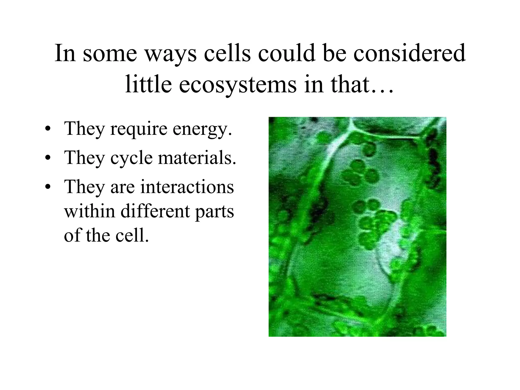 In some ways cells could be considered
       little ecosystems in that…
• They require energy.
• They cycle materials.
• They are interactions
  within different parts
  of the cell.
 